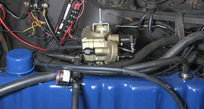 SNIPER ONE BBL GOLD - Holley Sniper EFI Autolite 1100 - Or classique