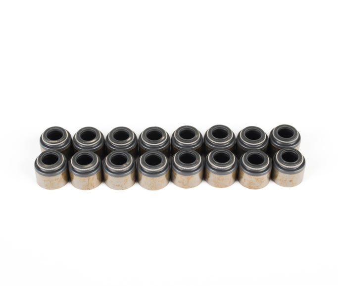 BTR Valve Seal Kit - LS