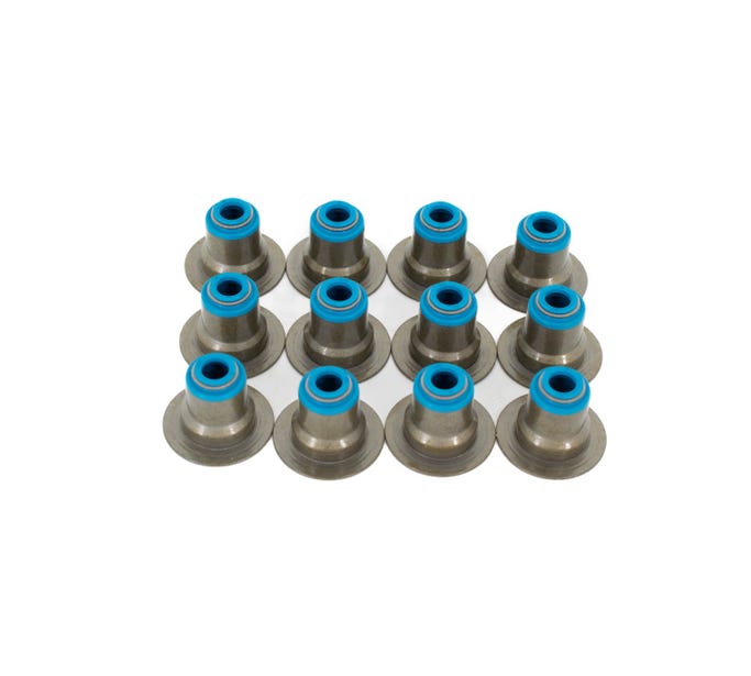 BTR Valve Seal Set - GEN V LT V6