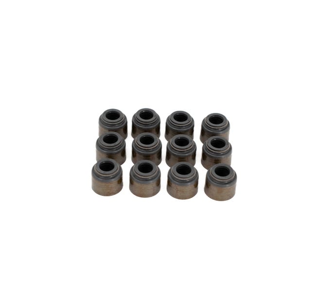 BTR Valve Seal Set - GEN V LT V6