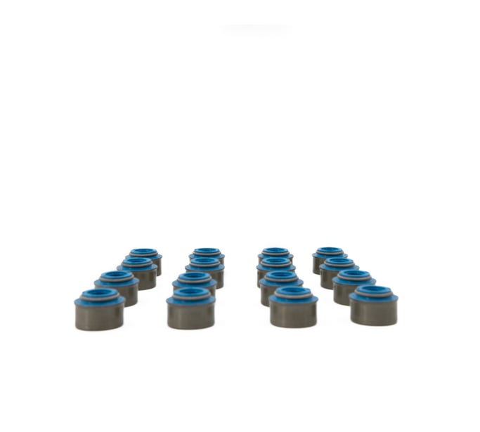 BTR 2009+ GEN III HEMI Valve Seal Kit