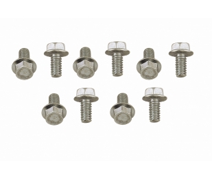 Timing Cover Bolts