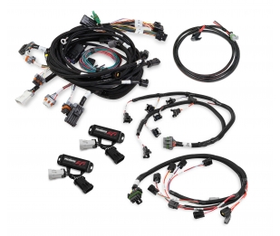 Ford Modular and Coyote Engine Plug and Play Kits